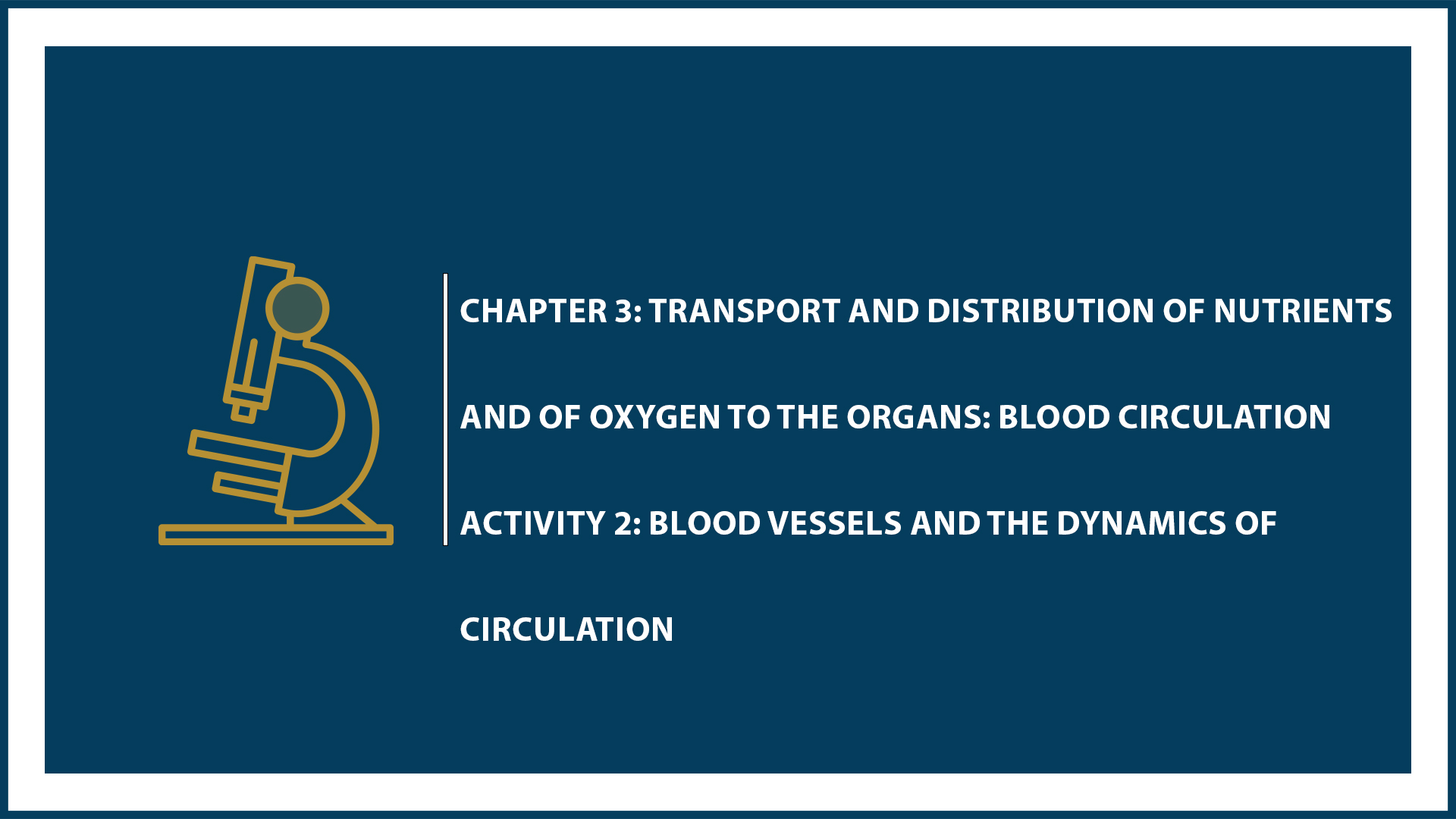 Chapter 3: Activity 2: Blood Vessels and the Dynamics of Circulation